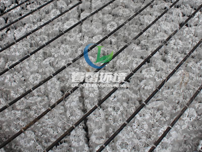 草莓视频在线下载APP网站渗滤液处理工程项目提标改造 草莓视频在线下载APP网站渗滤液提标改造更新升级